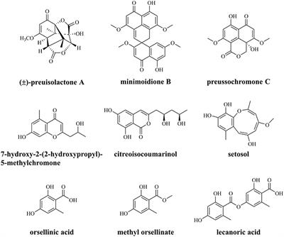 Cloning and Functional Characterization of the Polyketide Synthases Based on Genome Mining of Preussia isomera XL-1326